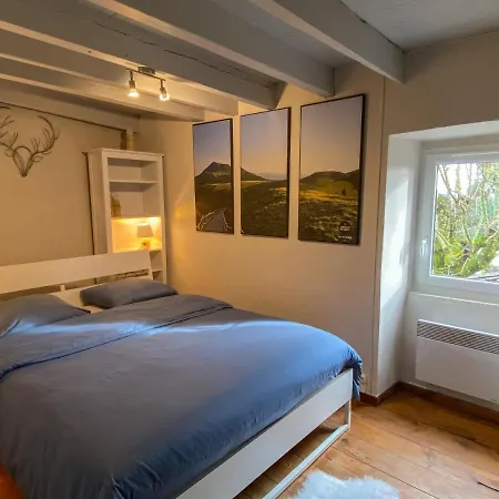 Reflets Du Sancy D'aydat Holiday home *